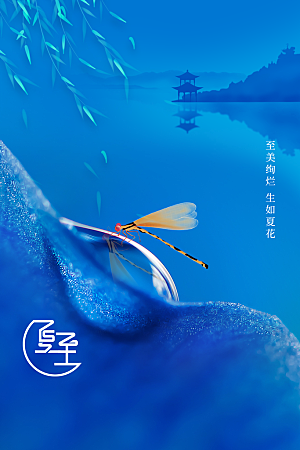 夏至节气传统海报