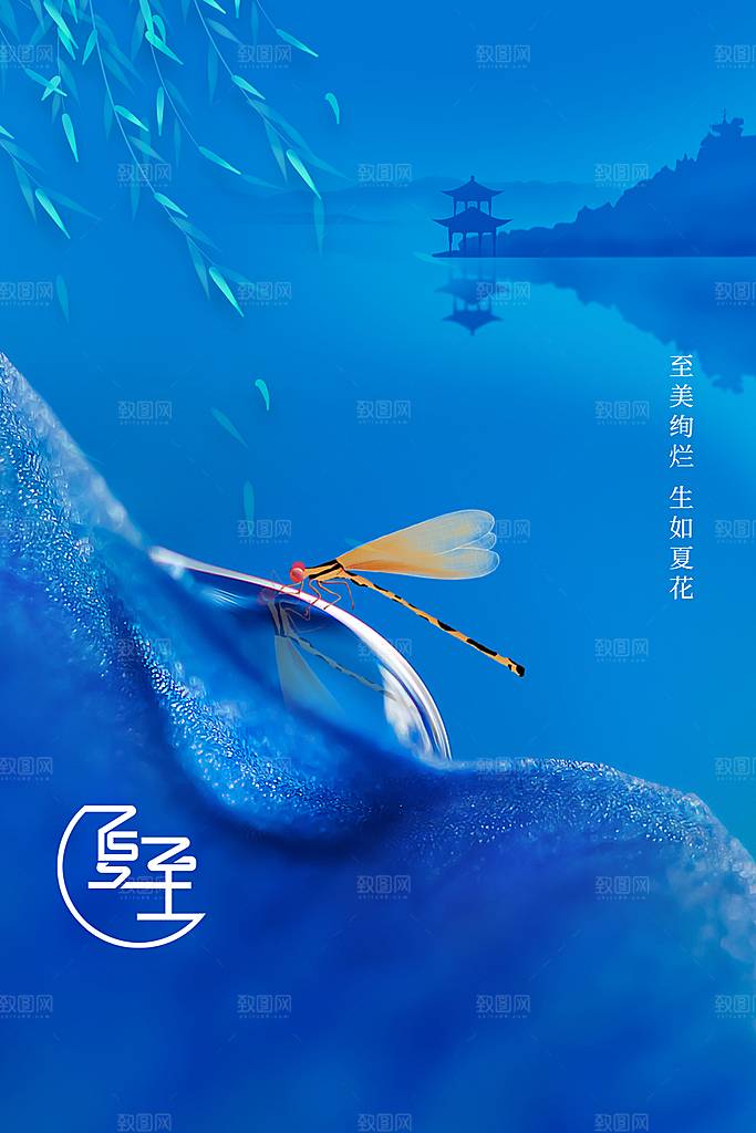 夏至节气传统海报