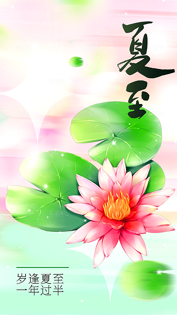 夏至节气传统活动海报