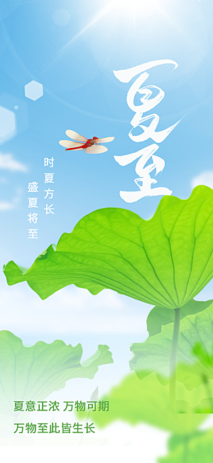 夏至节气传统活动海报