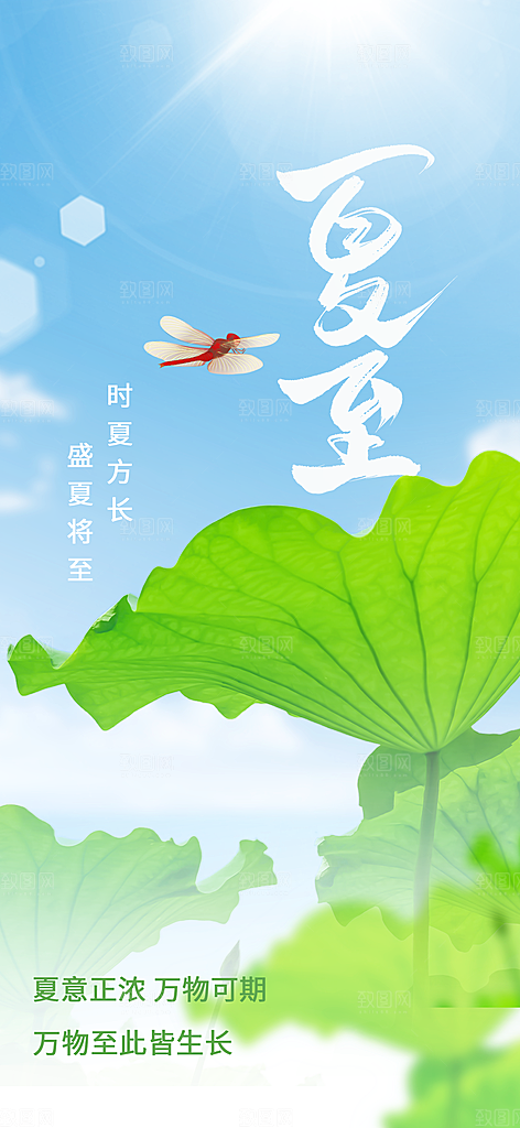 夏至节气传统活动海报