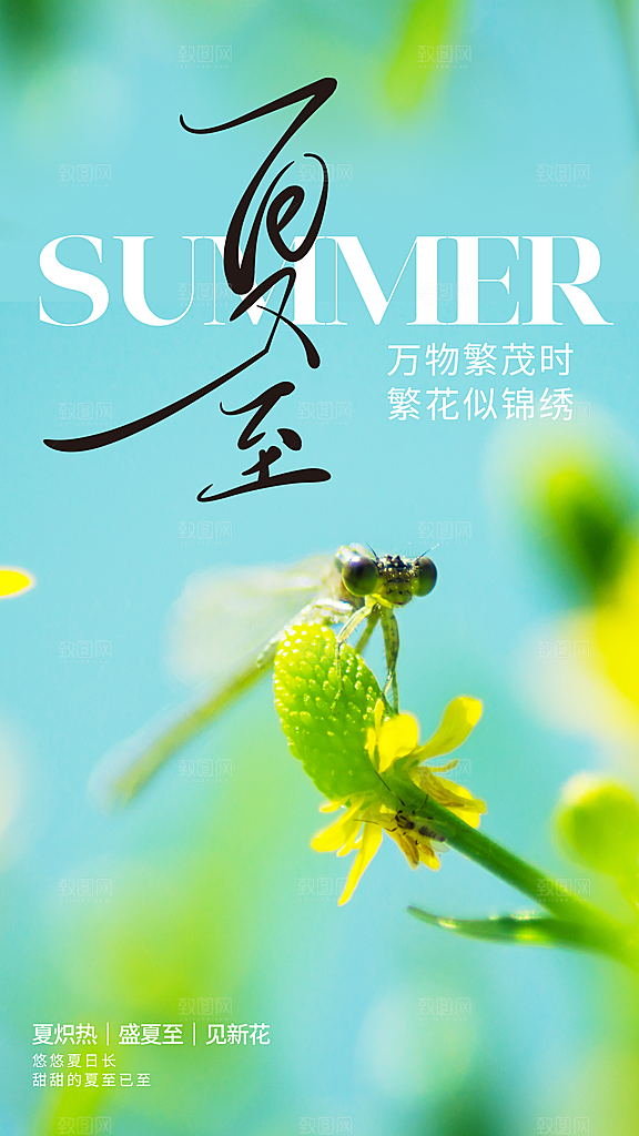 夏至节气传统活动海报