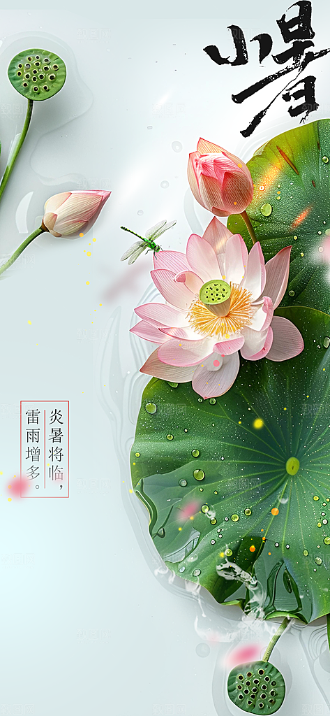 小暑节气传统海报