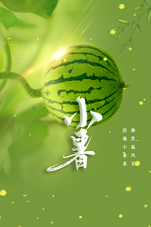 小暑夏天夏季活动节气海报