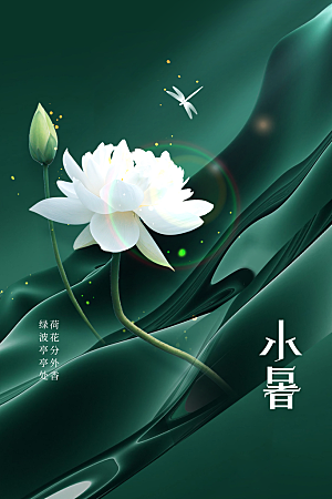小暑节气传统活动海报