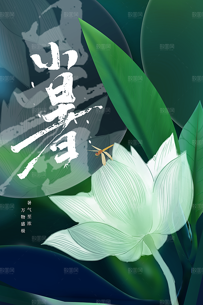 小暑节气传统活动海报