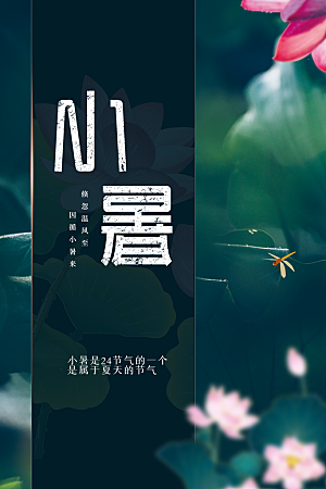 小暑节气传统活动海报