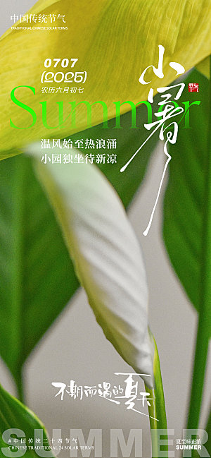 小暑芭蕉叶简约清新夏季叶子