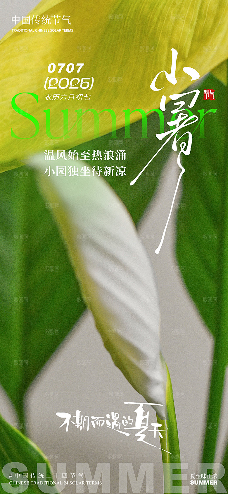 小暑芭蕉叶简约清新夏季叶子