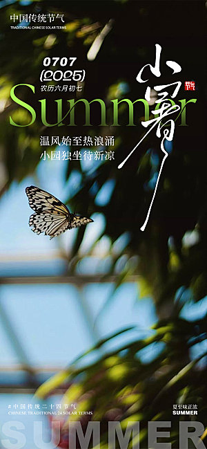 小暑蝴蝶夏季树荫树影意境质感