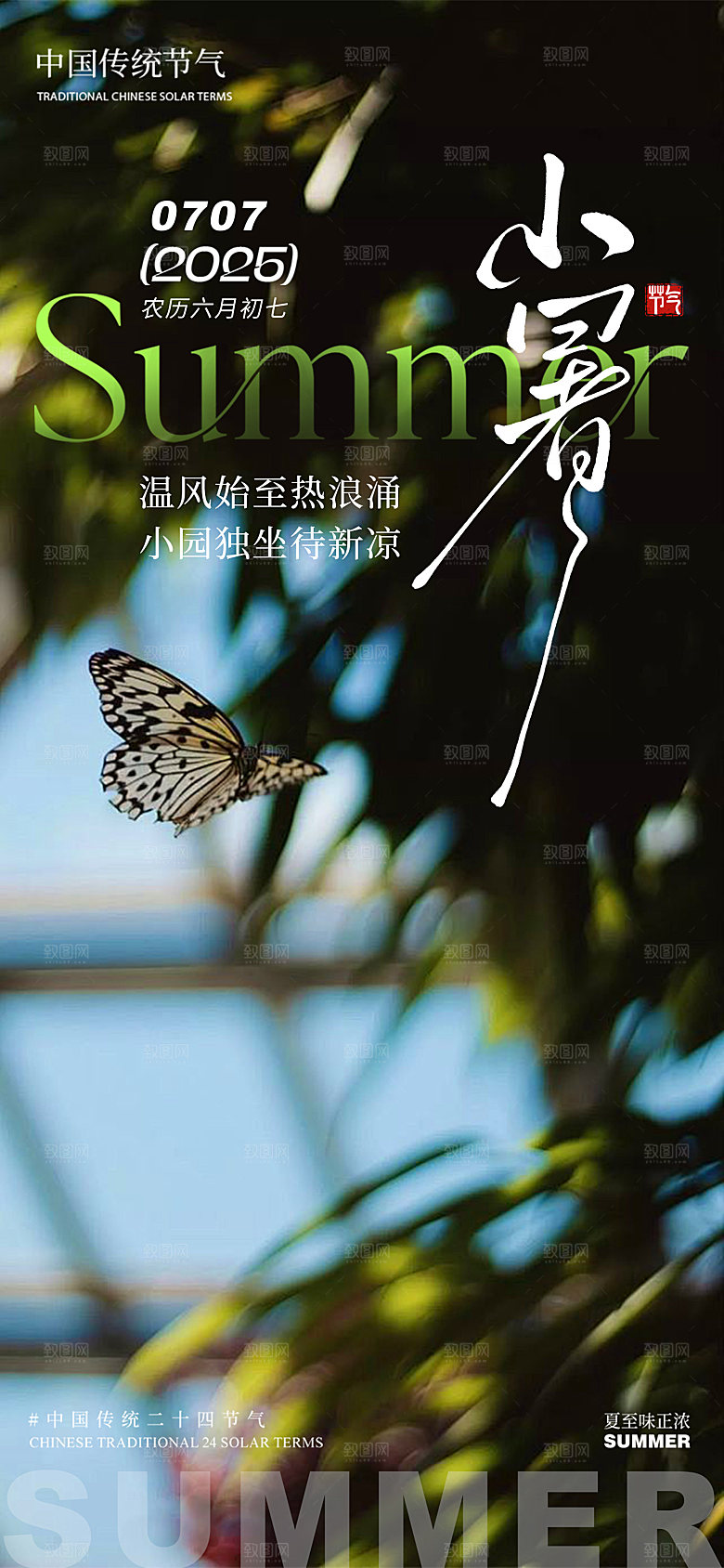 小暑蝴蝶夏季树荫树影意境质感