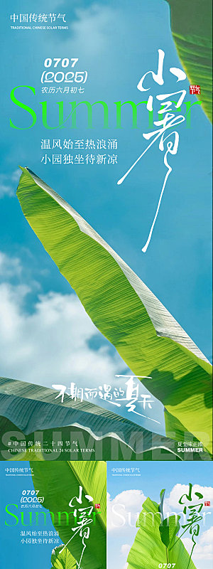 小暑芭蕉叶系列清新简约夏季