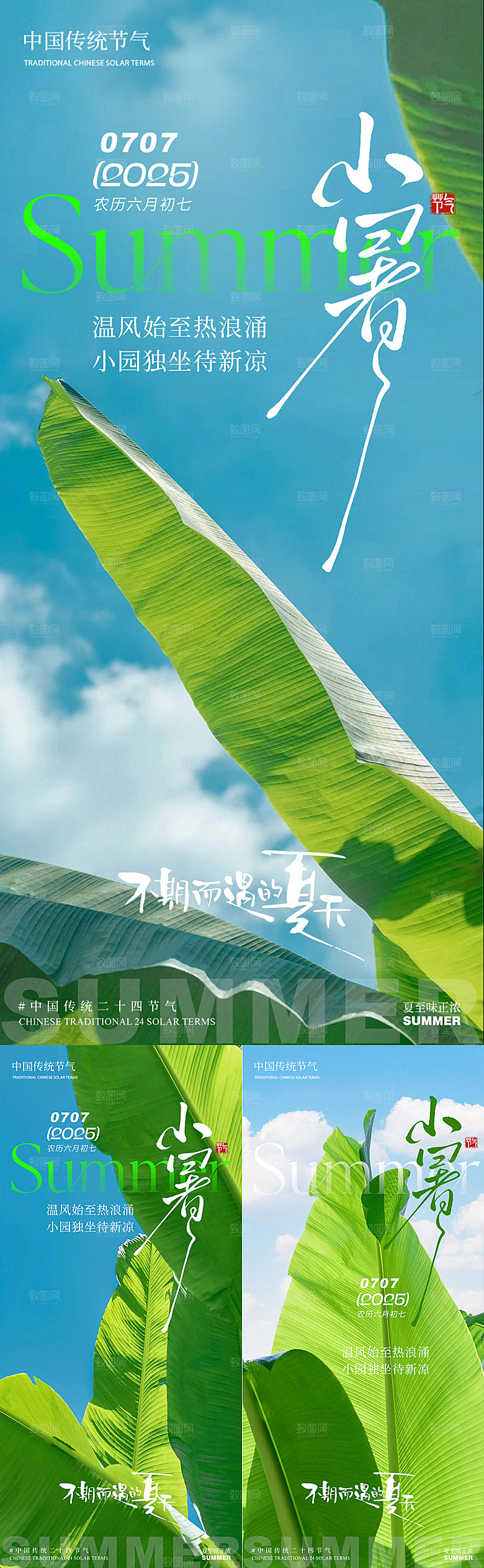 小暑芭蕉叶系列清新简约夏季