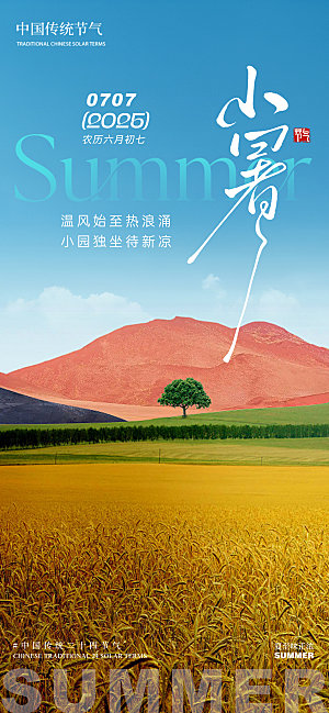 小暑麦田夏季草地蓝天白云
