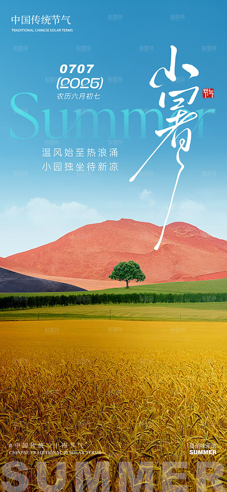 小暑麦田夏季草地蓝天白云