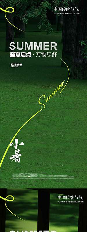 小暑大暑树荫倒影夏季树林清新简约