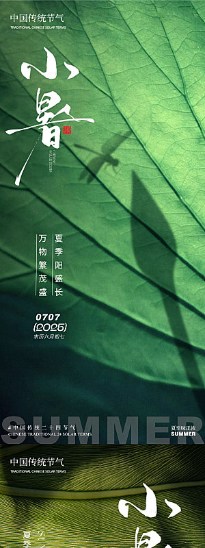 小暑树荫倒影夏季树林清新简约