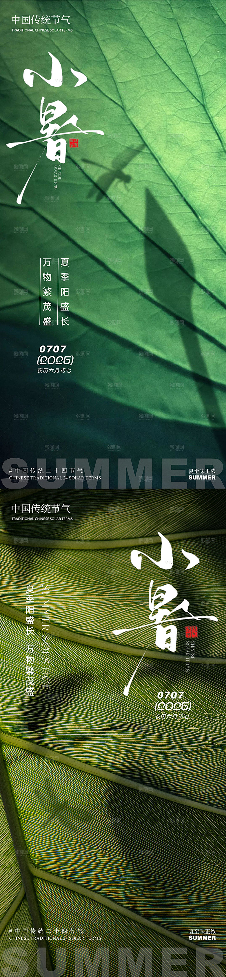 小暑树荫倒影夏季树林清新简约