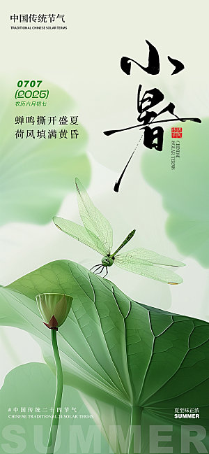 小暑荷花荷叶夏季蜻蜓清新