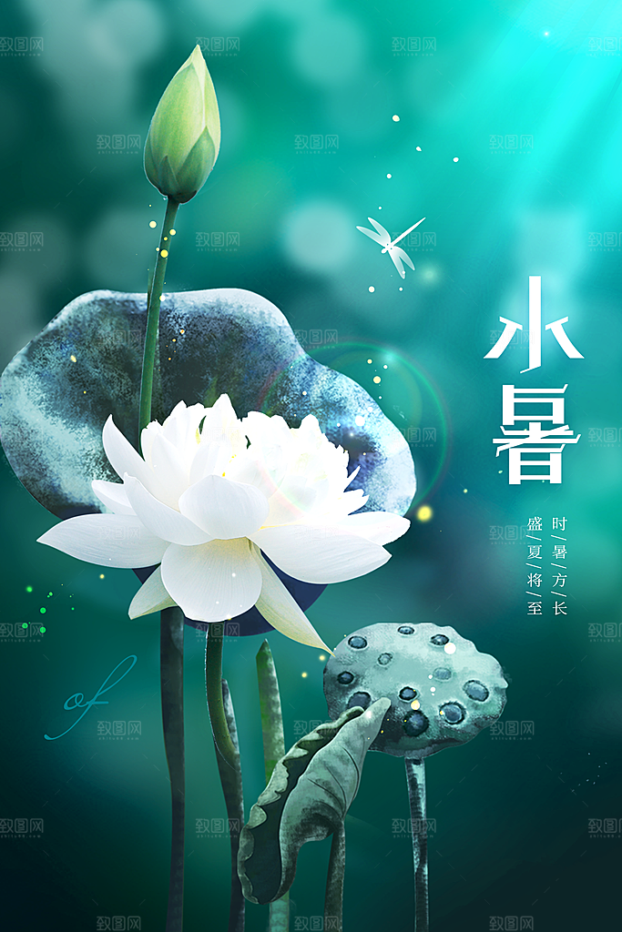 小暑节气传统海报