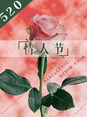 简约大气520情人节节日宣传海报