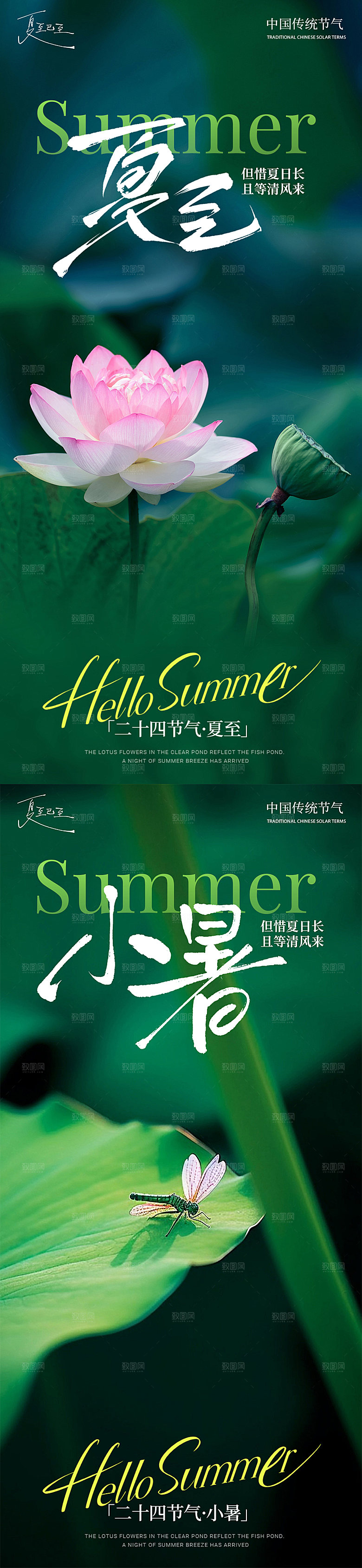 小暑大暑插画风景荷花荷叶夏季简约清新蜻蜓