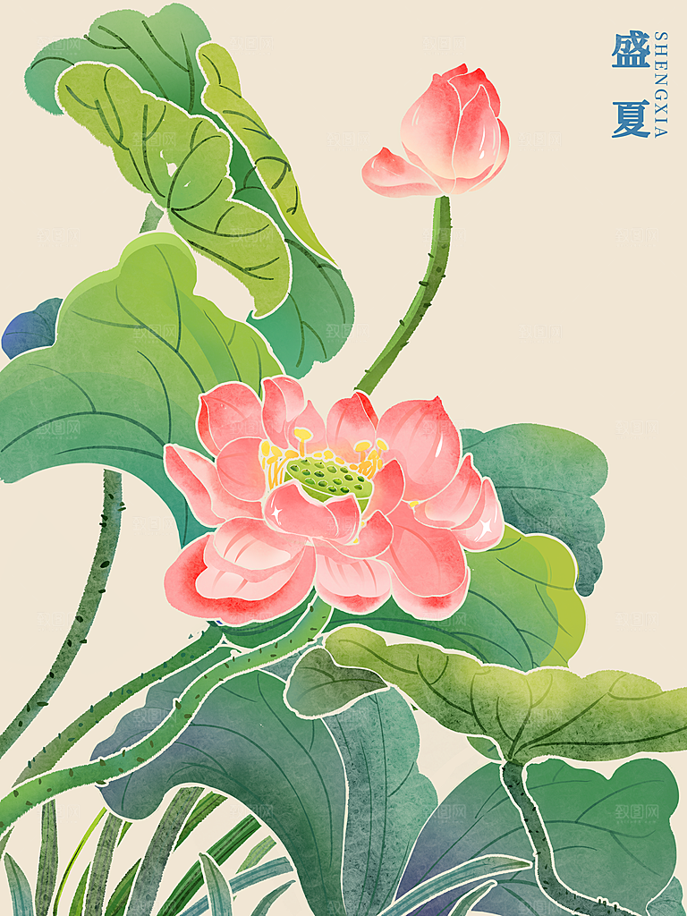简约大气花卉插画素材