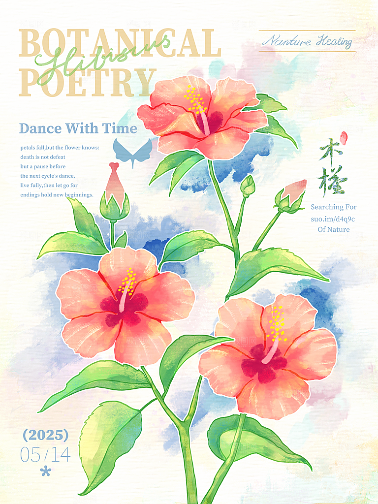 简约大气花卉插画素材