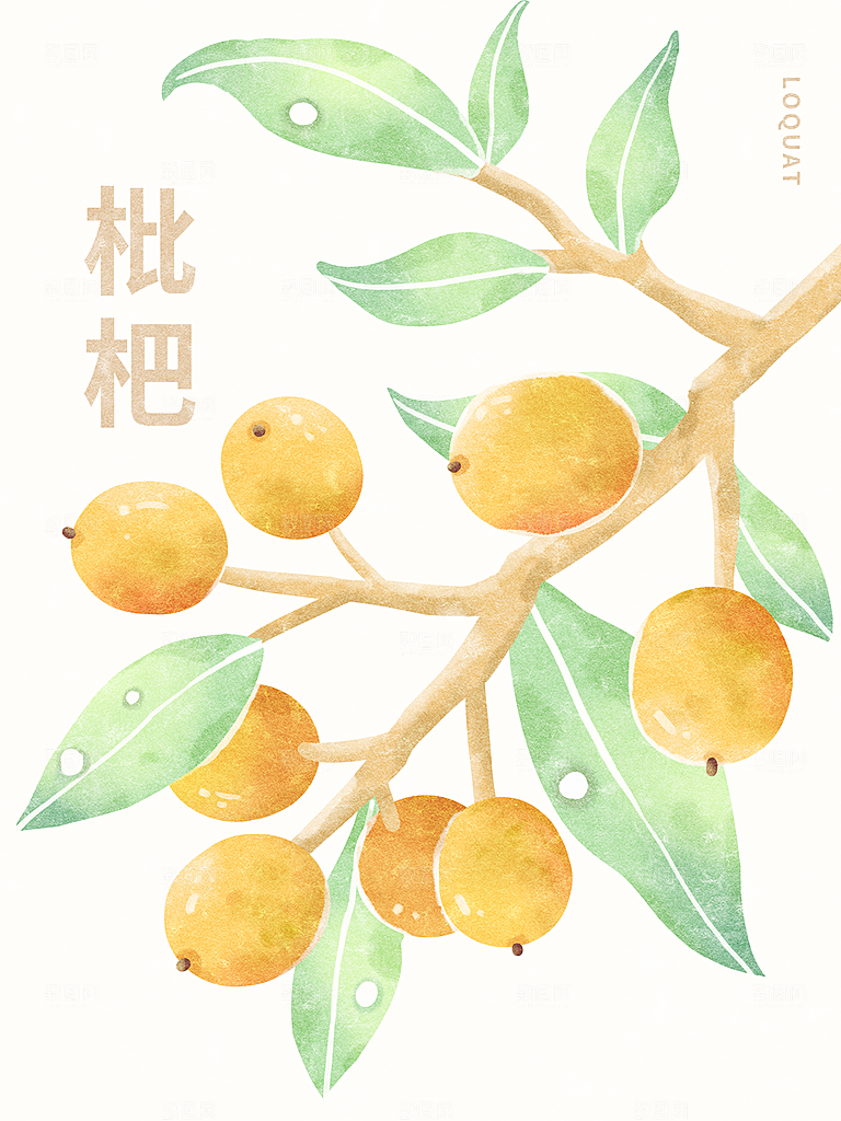 简约大气花卉插画素材