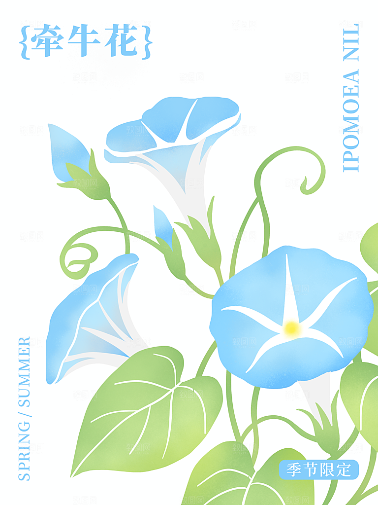 简约大气花卉插画素材