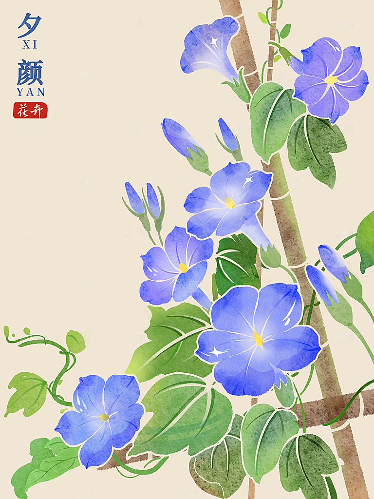 简约大气花卉插画素材