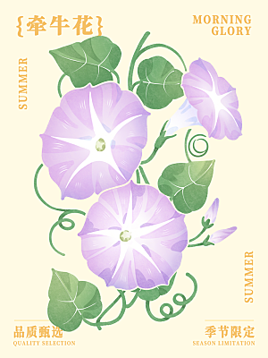 简约大气花卉插画素材
