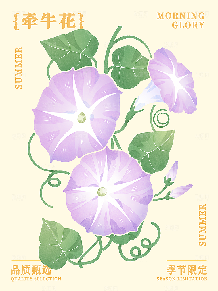 简约大气花卉插画素材