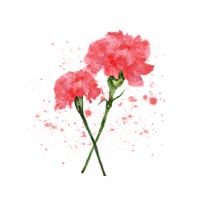 简约大气唯美花卉免扣元素
