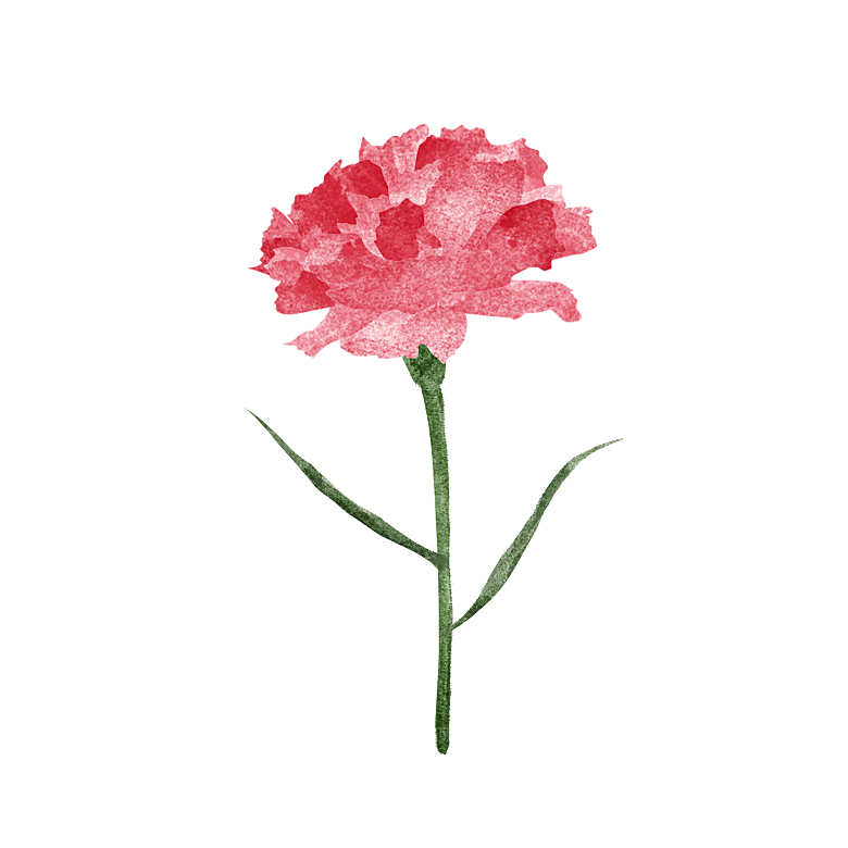 简约大气唯美花卉免扣元素