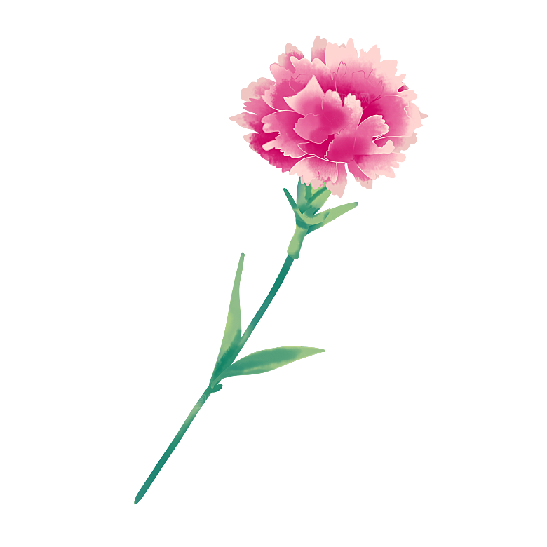 唯美小清新花卉鲜花免扣png元素