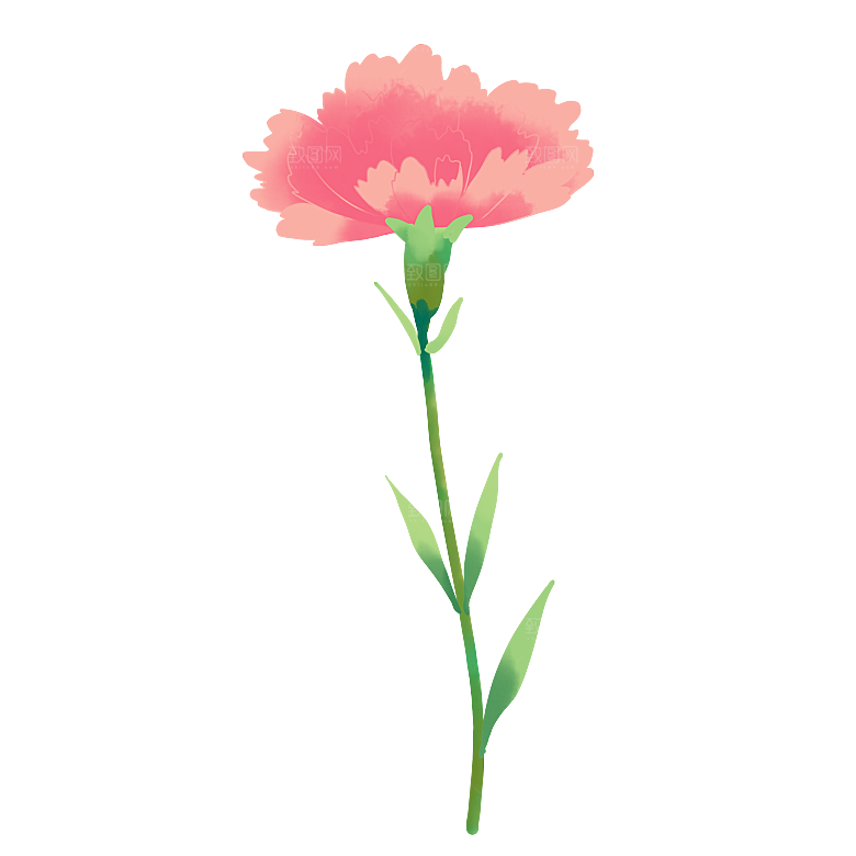唯美小清新花卉鲜花免扣png元素
