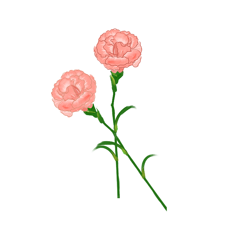 唯美小清新花卉鲜花免扣png元素