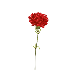 唯美小清新花卉鲜花免扣png元素