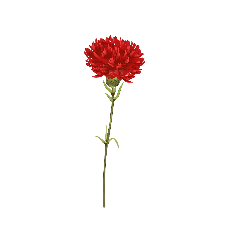 唯美小清新花卉鲜花免扣png元素