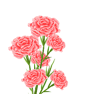 唯美小清新花卉鲜花免扣png元素