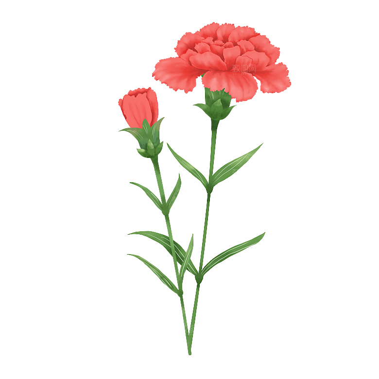 简约大气唯美花卉免扣元素