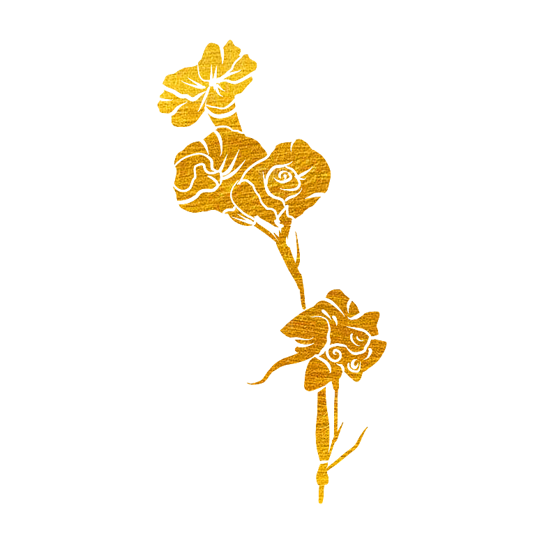 简约大气唯美花卉免扣元素