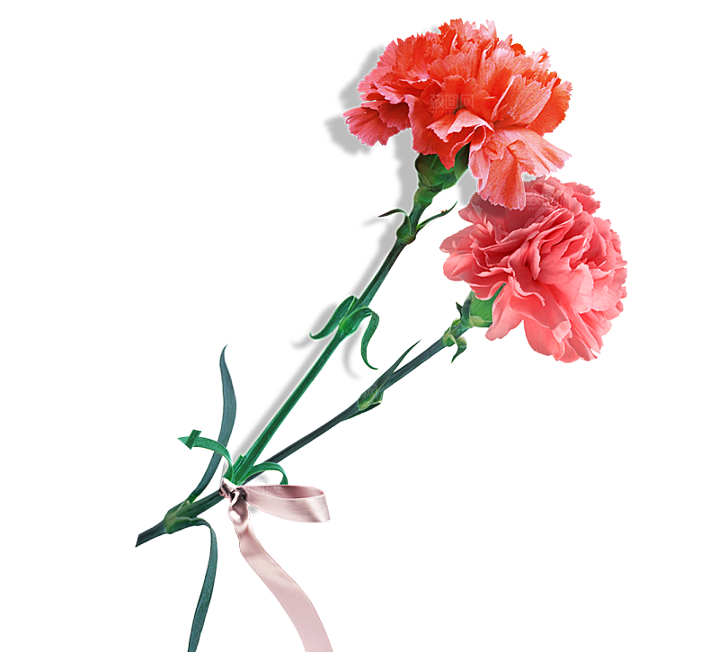 唯美小清新花卉鲜花免扣png元素