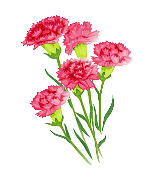 唯美小清新花卉鲜花免扣png元素
