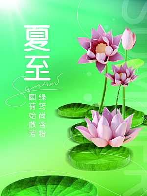简约大气夏至节气宣传海报