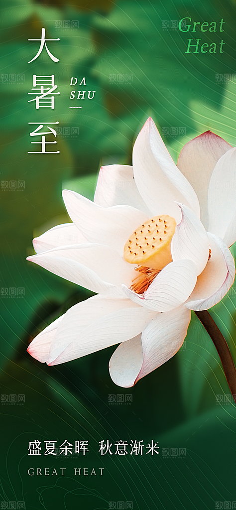 大暑节气宣传海报设计素材