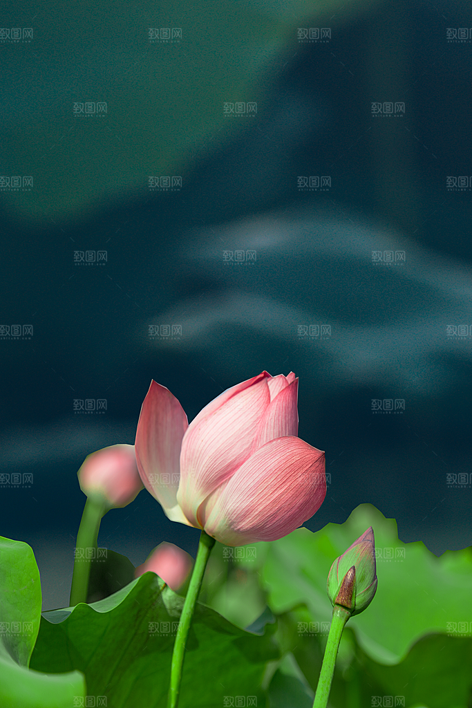 中国风二十四节气节日海报山水风景背景素材
