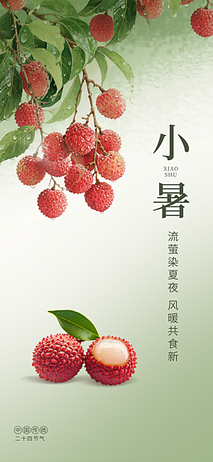 小暑节日唯美简约大气节气海报