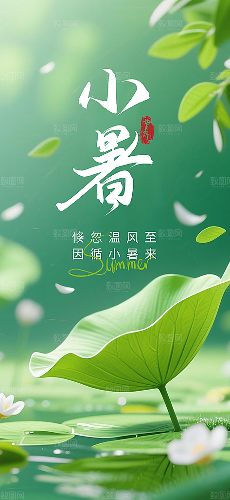 小暑唯美节日大气简约节气海报